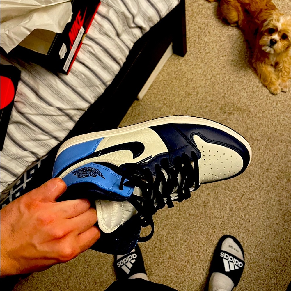 Air Jordan obsidian 1s